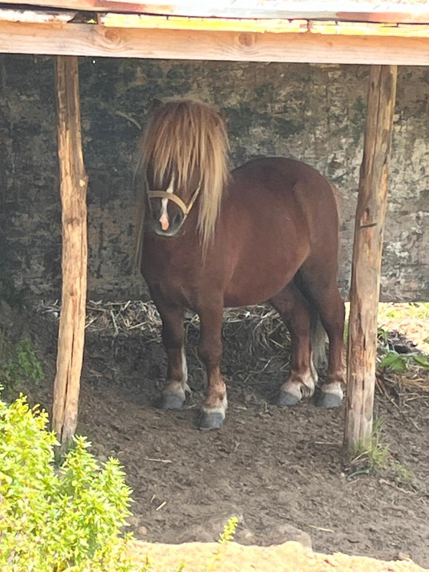 Poggio Baroni * Manciano